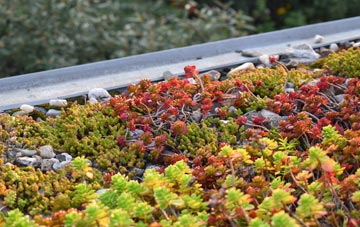 the cost of Bilby green roof installation