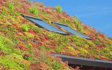 Bilby living roof systems