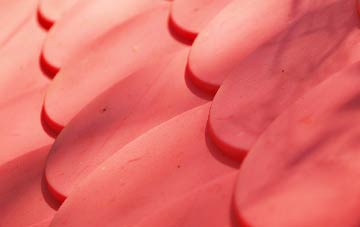 Bilby plastic roof costs